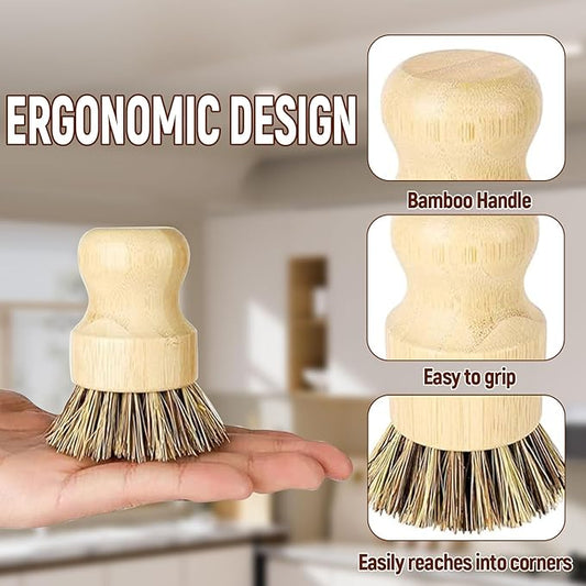 Natural Coconut Fiber Pot Scrubber Brushes with Quick-Dry Stand, Rubberwood Handle for Stubborn Pans & Kitchen Cleaning,2Pcs