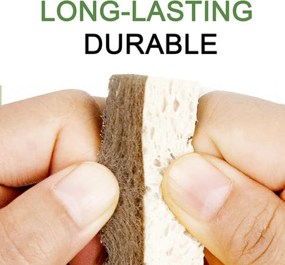 CELOX 12 Pack Coconut Fiber Biodegradable Sponges, Non Scratch Kitchen Cleaning Sponge, Eco-Friendly Dual-Sided Sponge for Dishwashing