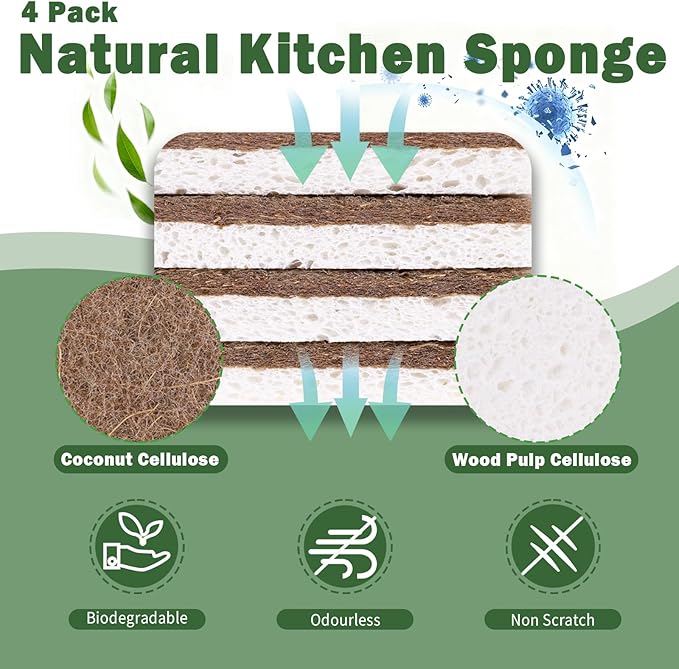 6 Pack Bamboo Dish Brush Set - 2pcs Palm Dish Scrubber and 4 Pieces Natural Kitchen Sponge for Dishes, Pots and Vegetables