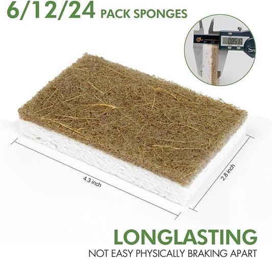 CELOX 12 Pack Coconut Fiber Biodegradable Sponges, Non Scratch Kitchen Cleaning Sponge, Eco-Friendly Dual-Sided Sponge for Dishwashing