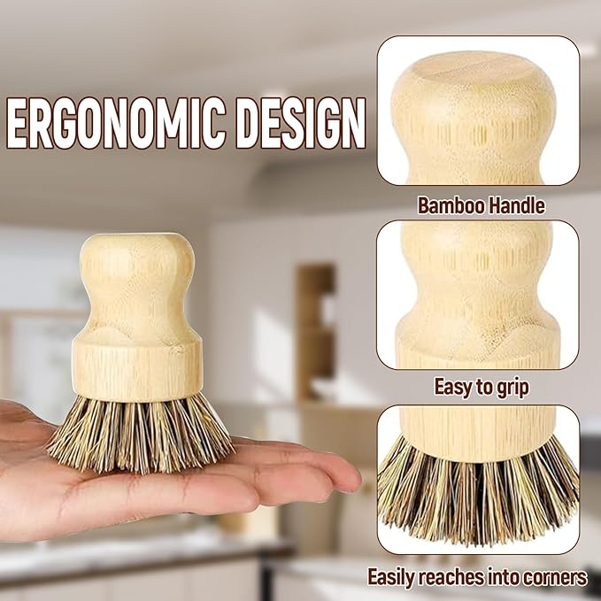 Natural Coconut Fiber Pot Scrubber Brushes with Quick-Dry Stand, Rubberwood Handle for Stubborn Pans & Kitchen Cleaning,2Pcs