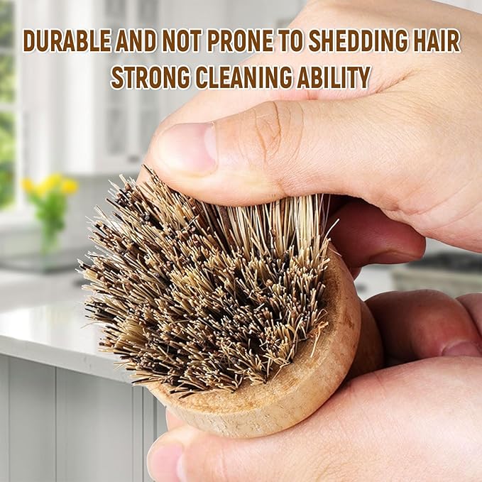 Natural Coconut Fiber Pot Scrubber Brushes with Quick-Dry Stand, Rubberwood Handle for Stubborn Pans & Kitchen Cleaning,2Pcs