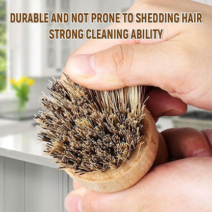 Natural Coconut Fiber Pot Scrubber Brushes with Quick-Dry Stand, Rubberwood Handle for Stubborn Pans & Kitchen Cleaning,2Pcs