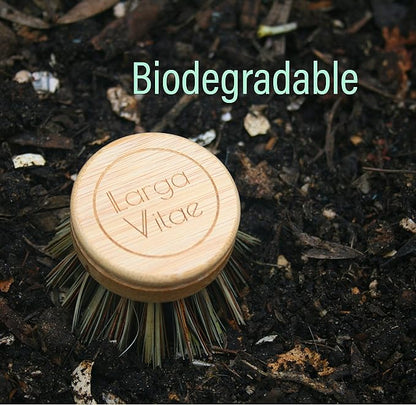 6 pcs Wooden Dish Brush Replacement Heads Made of Renewable Bamboo Wood and Natural Bristle Fiber, Durable, Long Lasting (Palm/Coconut Fiber Bristles)