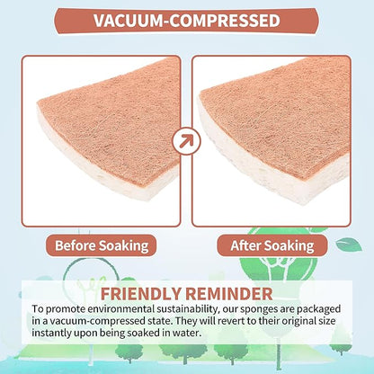 HOMERHYME Natural Dish Sponge 24 Pack, Non-Scratch Scrub Sponge, Eco Multipurpose Kitchen Sisal Fiber Cellulose Sponge, Odor-Less Dual-Sided for Dish Washing & Household Cleaning